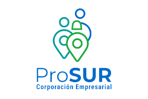 6. PROSUR
